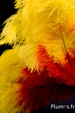 Autruche - 30-40 cm - rouge-jaune